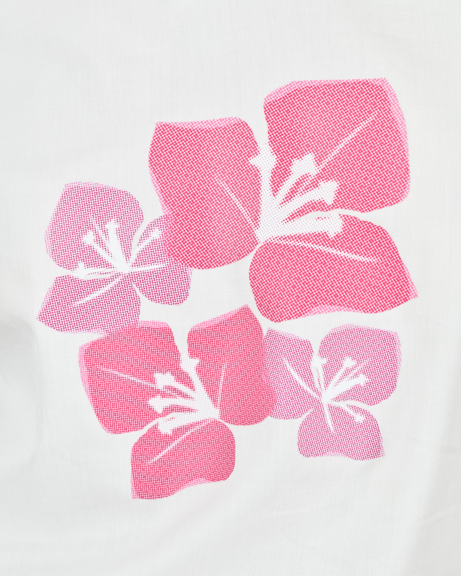 UNICA Tops DAISIE Top